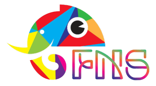 FNS SMART