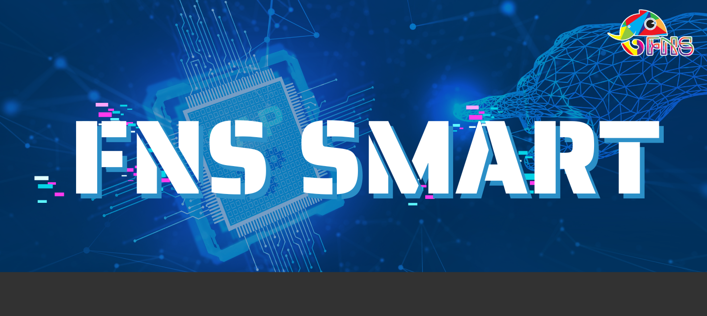 FNS SMART BNFNS SMART 1